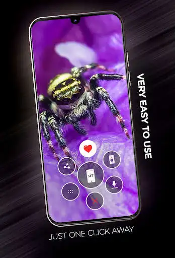 Play Insects Wallpapers in 4K as an online game Insects Wallpapers in 4K with UptoPlay
