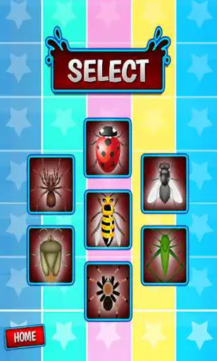 Play Insect Top Killer game as an online game Insect Top Killer game with UptoPlay