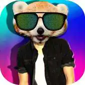 Free play online Insert animal face APK