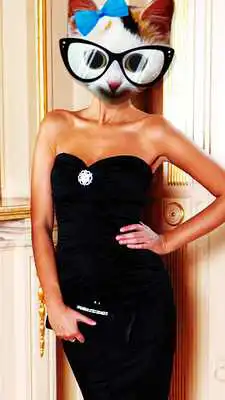 Play Insert animal face