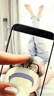 Play Insert animal face