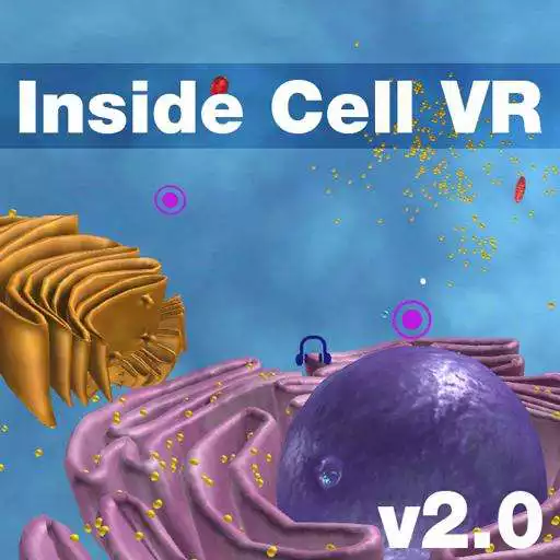 Play Inside Cell VR APK