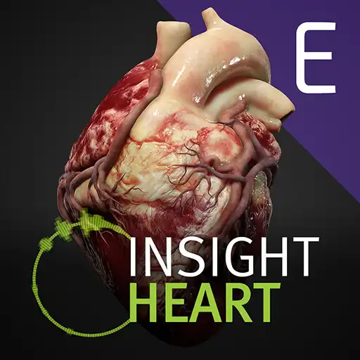Play INSIGHT HEART Enterprise APK Play INSIGHT HEART Enterprise APK