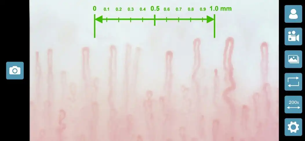 Play INSPECTIS  and enjoy INSPECTIS with UptoPlay