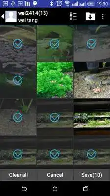 Play Ins Photo Save