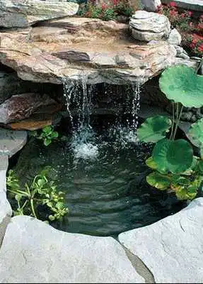 Play inspiration fish pond