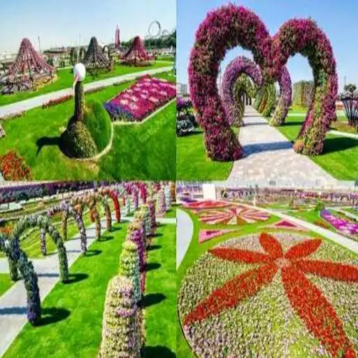 Play inspiring flower garden APK