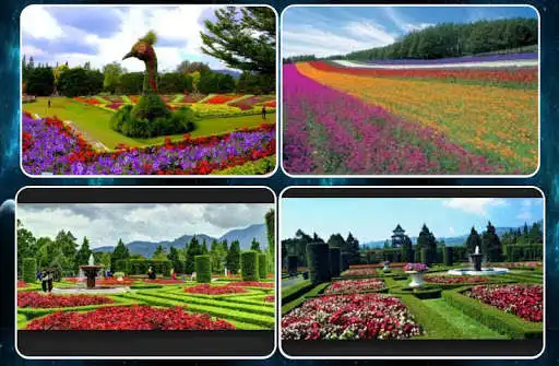 Play inspiring flower garden  and enjoy inspiring flower garden with UptoPlay