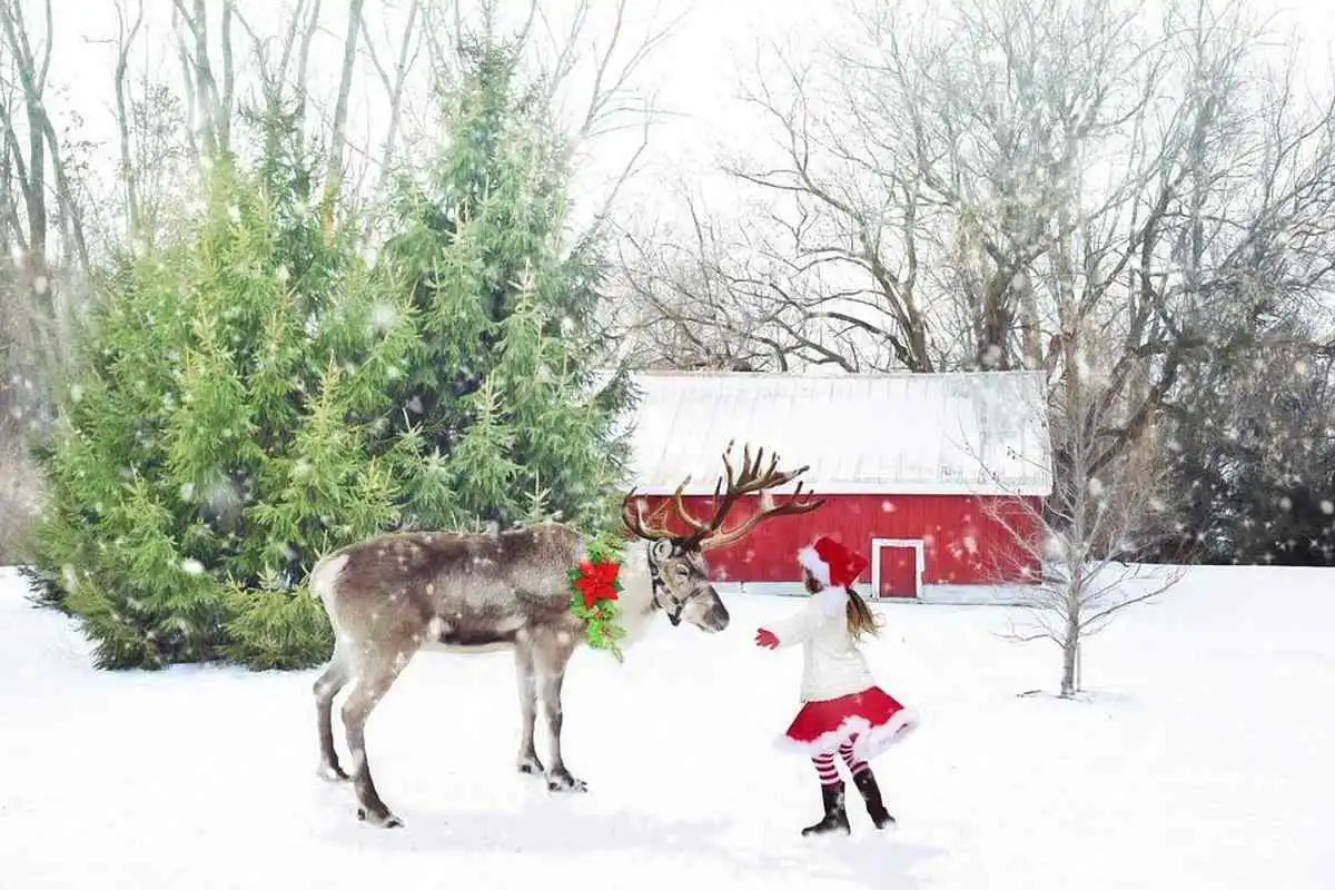 Play instaApp Emotion Sticker santa