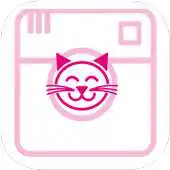 Free play online Instacat APK Free play online Instacat APK