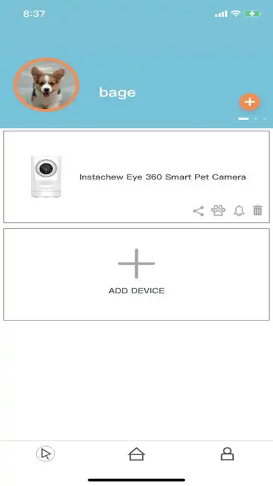 Play Instachew Infinity as an online game Instachew Infinity with UptoPlay