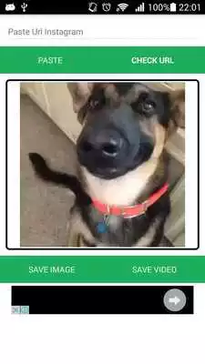 Play Instadown Play Instadown