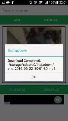 Play Instadown Play Instadown