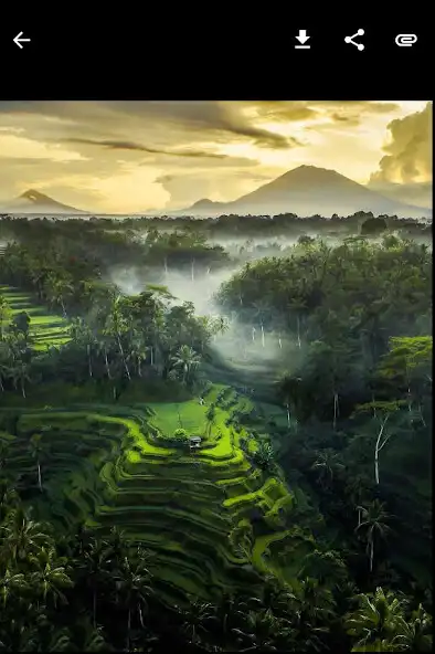 Play InstaSaver: Photo, Video, Story Save for Instagram as an online game InstaSaver: Photo, Video, Story Save for Instagram with UptoPlay