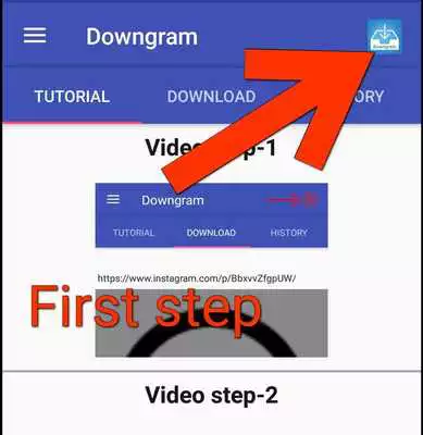 Play Inst Downloader -  Down-gram Free