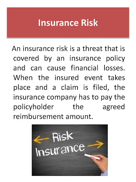 Play Insurance and Risk Management - an offline guide as an online game Insurance and Risk Management - an offline guide with UptoPlay
