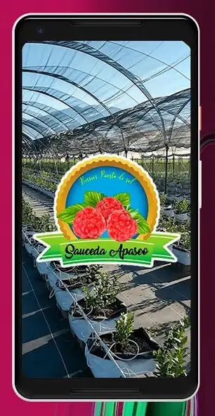 Play Integral Berries  and enjoy Integral Berries with UptoPlay
