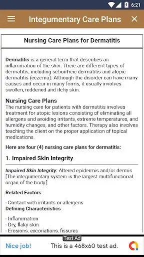Play Integumentary Nursing Care Plans as an online game Integumentary Nursing Care Plans with UptoPlay