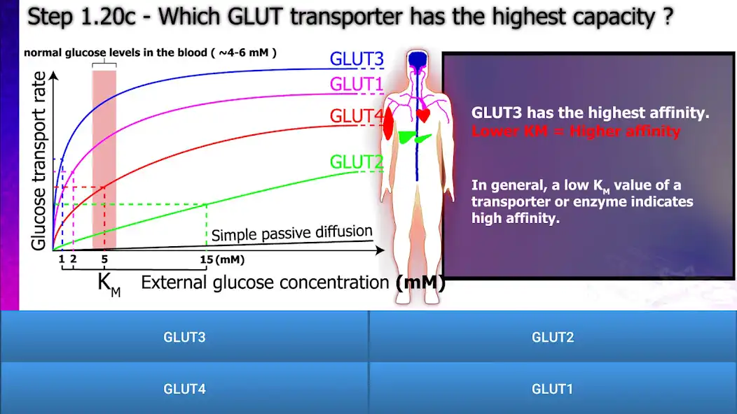 Play Interactive Glycolysis : Advanced Test  Quiz as an online game Interactive Glycolysis : Advanced Test  Quiz with UptoPlay