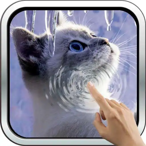 Play Interactive Kitten APK