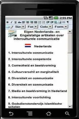 Play interculturele communicatie