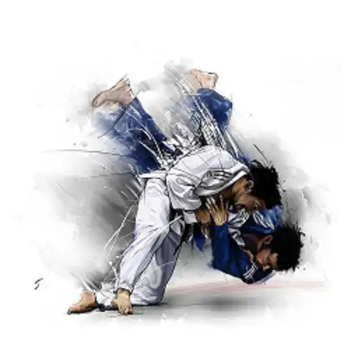 Play Interesting Judo APK