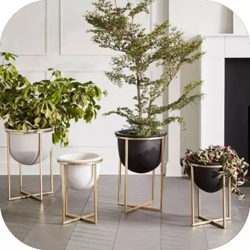 Run free android online Interior Plant ideas APK