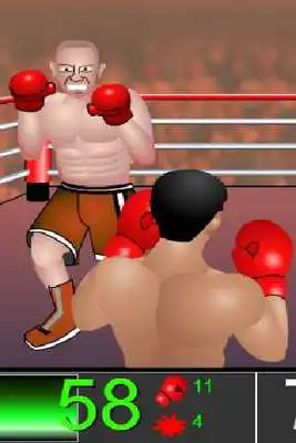 Play International Boxer