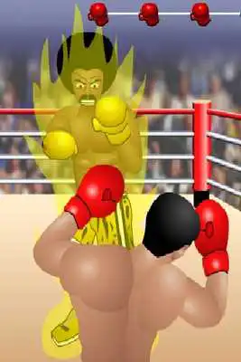 Play International Boxer