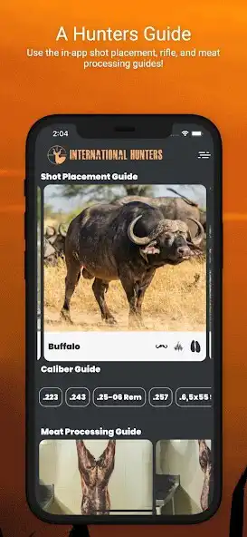 Play International Hunters - Hunting and Shot Placement  and enjoy International Hunters - Hunting and Shot Placement with UptoPlay