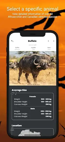 Play International Hunters - Hunting and Shot Placement as an online game International Hunters - Hunting and Shot Placement with UptoPlay