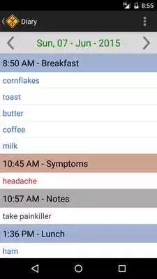 Play Intolerance Food Diary