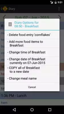 Play Intolerance Food Diary