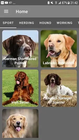 Play Introducing Dogs - Tra cứu chó  and enjoy Introducing Dogs - Tra cứu chó with UptoPlay