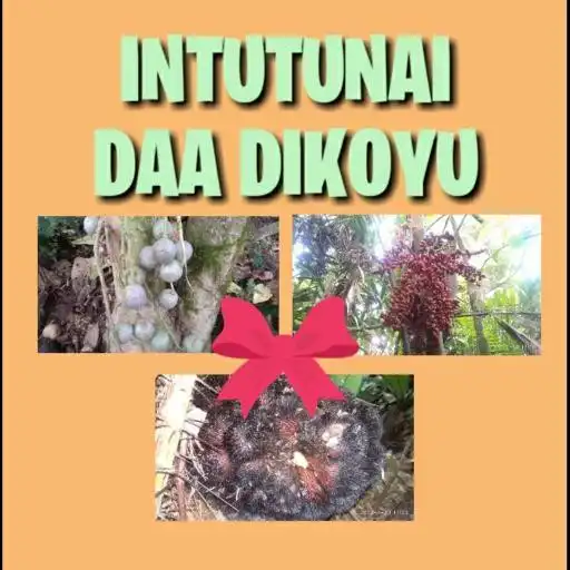 Play Intutunai Daa Dikoyu APK