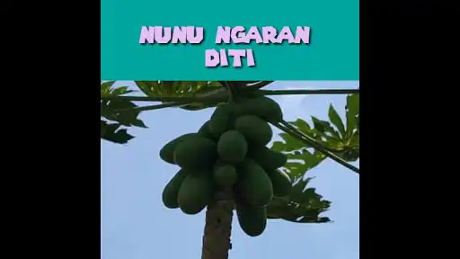 Play Intutunai Daa Dikoyu  and enjoy Intutunai Daa Dikoyu with UptoPlay