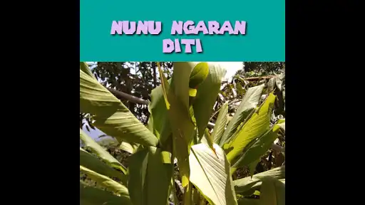 Play Intutunai Daa Dikoyu as an online game Intutunai Daa Dikoyu with UptoPlay