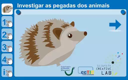 Play Investigar as pegadas dos animais