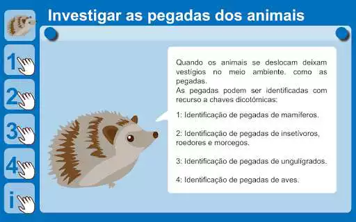 Play Investigar as pegadas dos animais