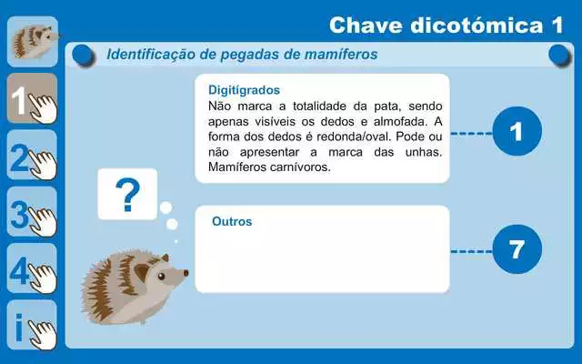 Play Investigar as pegadas dos animais