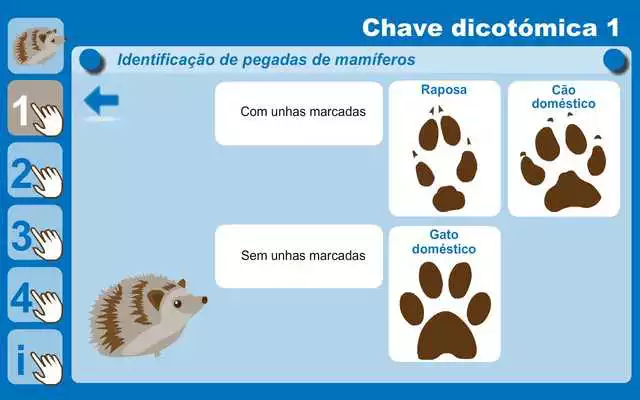 Play Investigar as pegadas dos animais