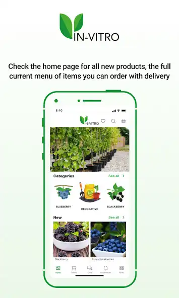 Play Проверено INVITRO  and enjoy Проверено INVITRO with UptoPlay
