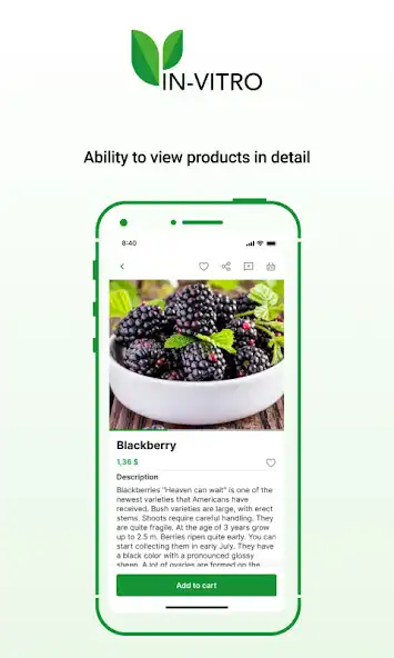 Play Проверено INVITRO as an online game Проверено INVITRO with UptoPlay