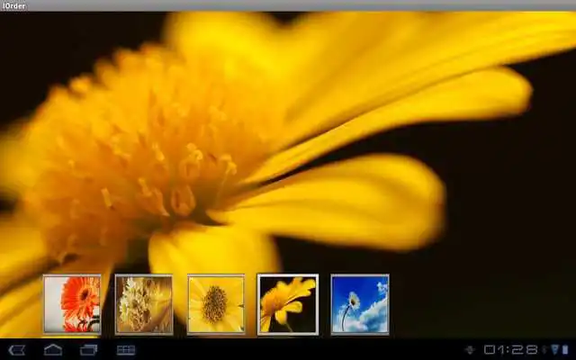 Play iOrder Lite Play iOrder Lite