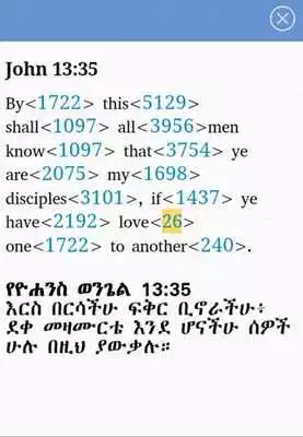 Play Iota Amharic Bible Play Iota Amharic Bible