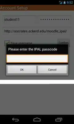 Play IPAL