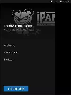 Play iPandA Rock Radio