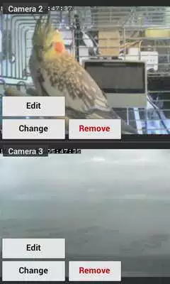 Play IP Camviewer for Tenvis