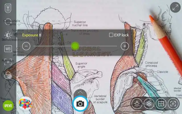 Play IPEVO Visualizer