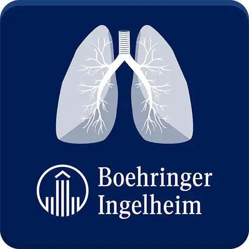 Free play online IPF Experts APK